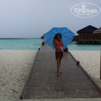 фото из отзыва ID 1083879