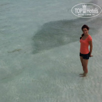 фото из отзыва ID 1083879