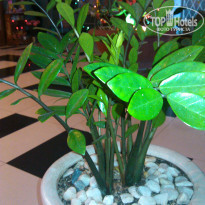 фото из отзыва ID 1083903