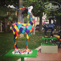 фото из отзыва ID 1083935