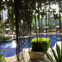 фото из отзыва ID 1084062