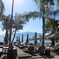 фото из отзыва ID 1084125