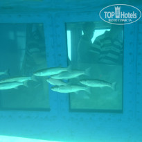 фото из отзыва ID 1083910