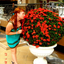 фото из отзыва ID 1084206