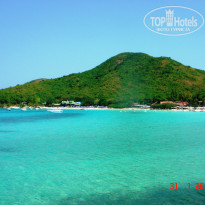 фото из отзыва ID 1084206