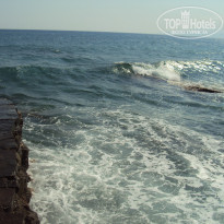 фото из отзыва ID 1084270