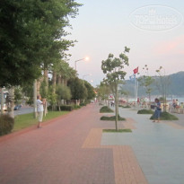 фото из отзыва ID 1084269