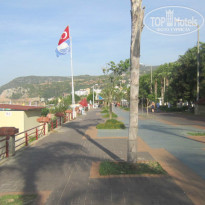 фото из отзыва ID 1084269