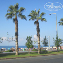 фото из отзыва ID 1084269