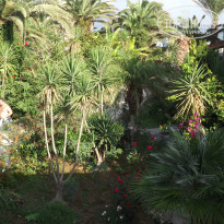 фото из отзыва ID 1084361