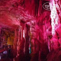 фото из отзыва ID 1084361