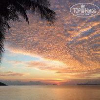 фото из отзыва ID 1084640