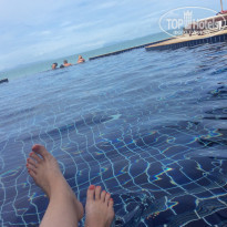 фото из отзыва ID 1084640