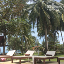 фото из отзыва ID 1084640