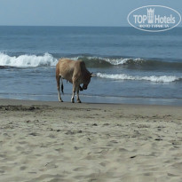 фото из отзыва ID 1085114