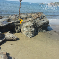 фото из отзыва ID 1085114