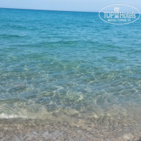 фото из отзыва ID 1085350