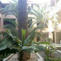 фото из отзыва ID 1085440