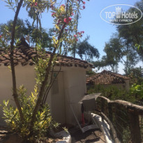 фото из отзыва ID 1085645