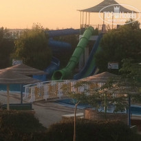 фото из отзыва ID 1085642