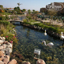 фото из отзыва ID 1085676