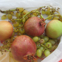 фото из отзыва ID 1085817