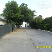 фото из отзыва ID 1085883