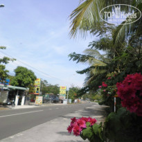 фото из отзыва ID 1086252