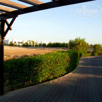 фото из отзыва ID 1083782