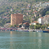 фото из отзыва ID 1086296