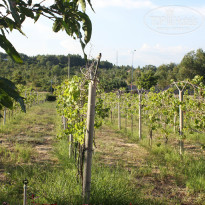 фото из отзыва ID 1086390