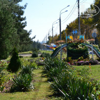 фото из отзыва ID 1083160