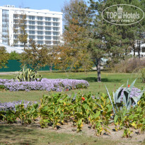 фото из отзыва ID 1083160