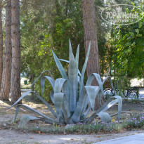 фото из отзыва ID 1083160