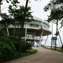 фото из отзыва ID 1085066