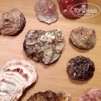 фото из отзыва ID 1085066