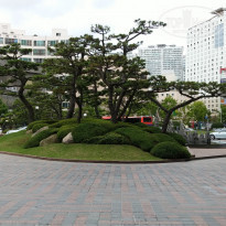 фото из отзыва ID 1085066