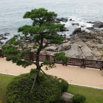 фото из отзыва ID 1085066