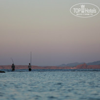 фото из отзыва ID 1086765