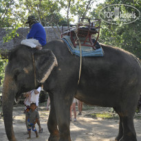 фото из отзыва ID 1086783