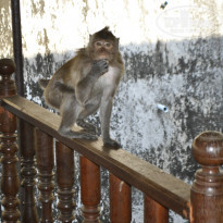 фото из отзыва ID 1086783