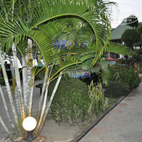 фото из отзыва ID 1086783