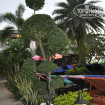 фото из отзыва ID 1086783