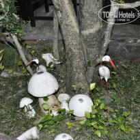 фото из отзыва ID 1086783