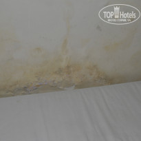 фото из отзыва ID 1086880