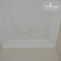 фото из отзыва ID 1086880