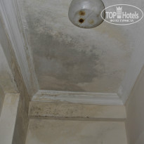 фото из отзыва ID 1086880