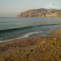 фото из отзыва ID 1086880