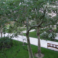 фото из отзыва ID 1086961