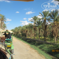 фото из отзыва ID 1087075